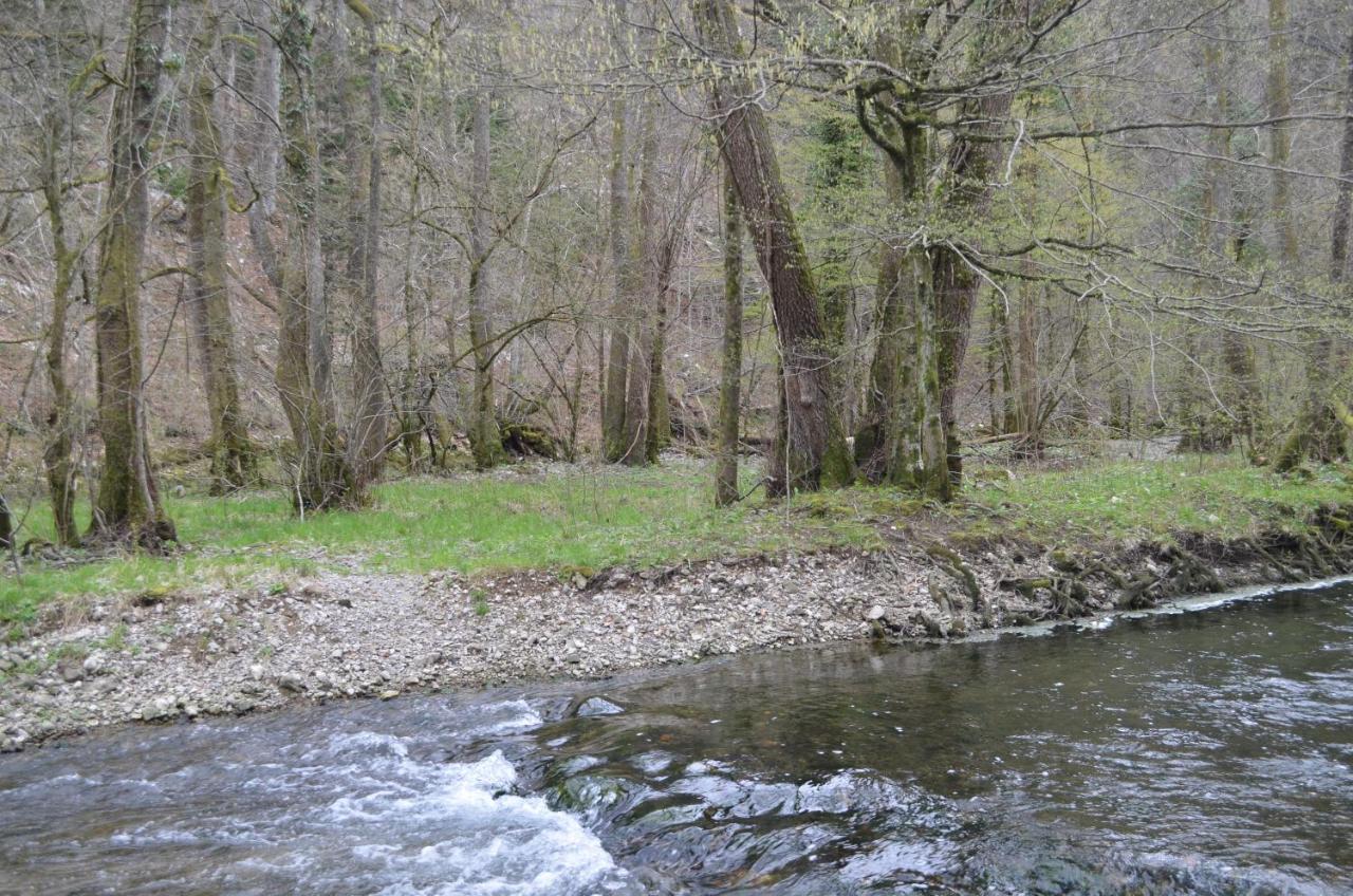 Apartma Nika Planina  المظهر الخارجي الصورة