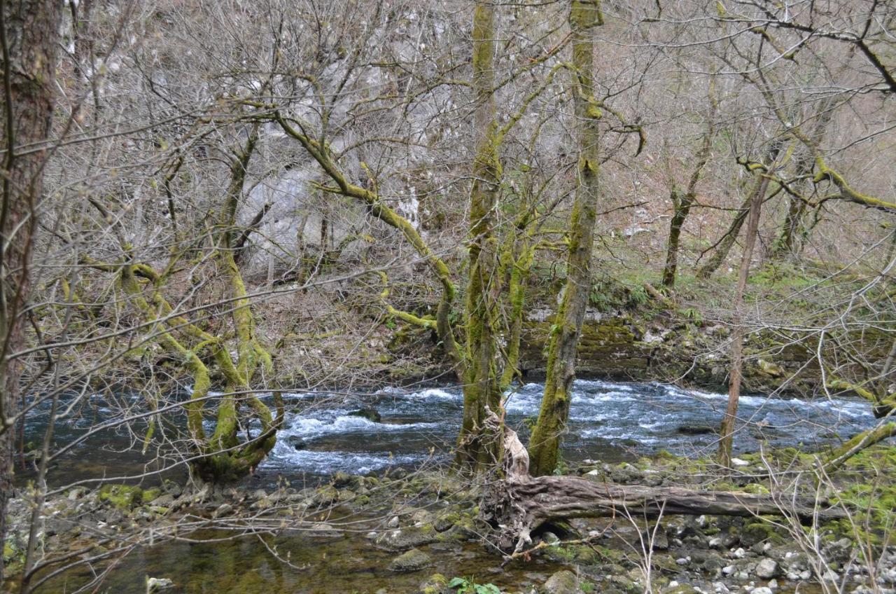 Apartma Nika Planina  المظهر الخارجي الصورة