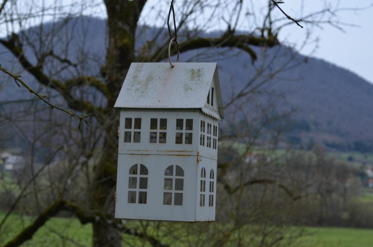 Apartma Nika Planina  المظهر الخارجي الصورة