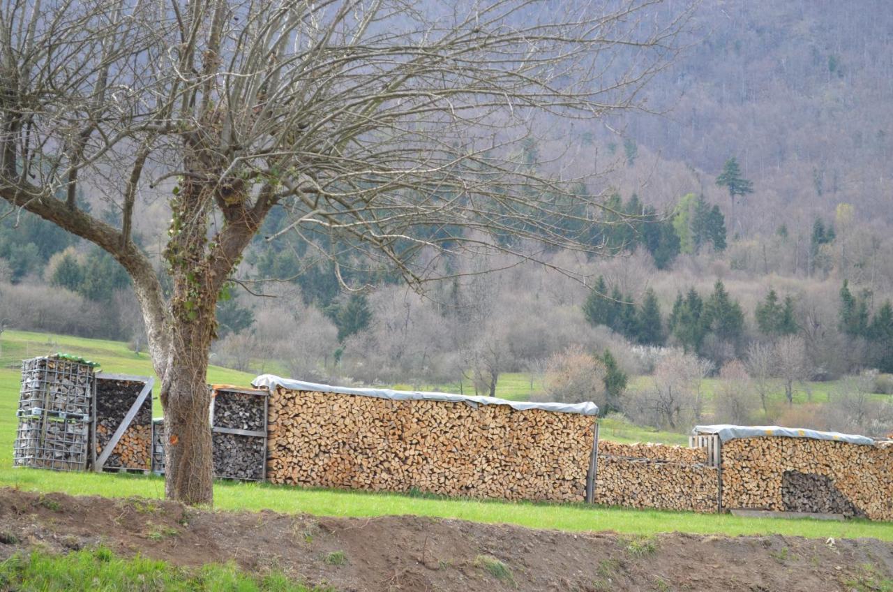 Apartma Nika Planina  المظهر الخارجي الصورة