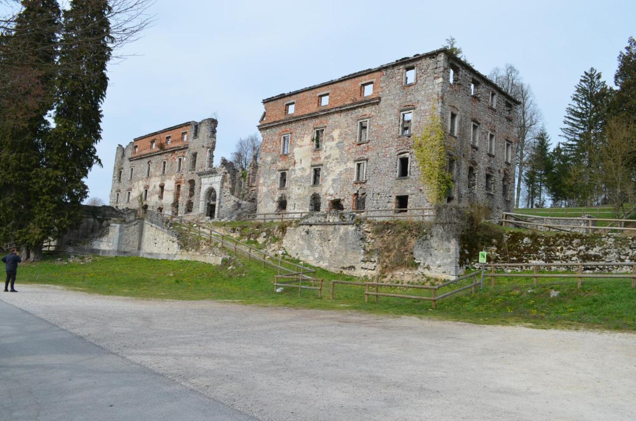 Apartma Nika Planina  المظهر الخارجي الصورة