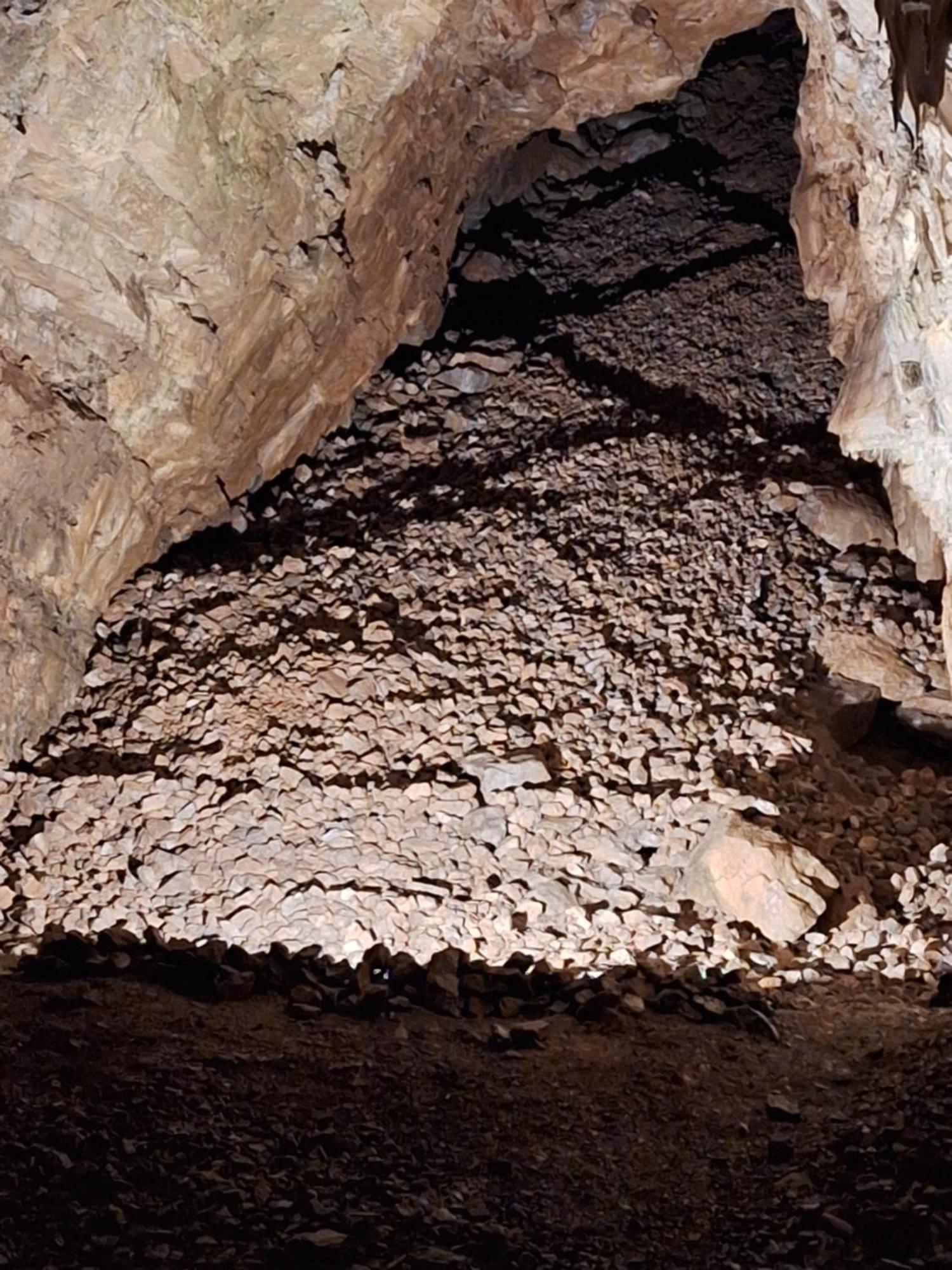 Apartma Nika Planina  المظهر الخارجي الصورة