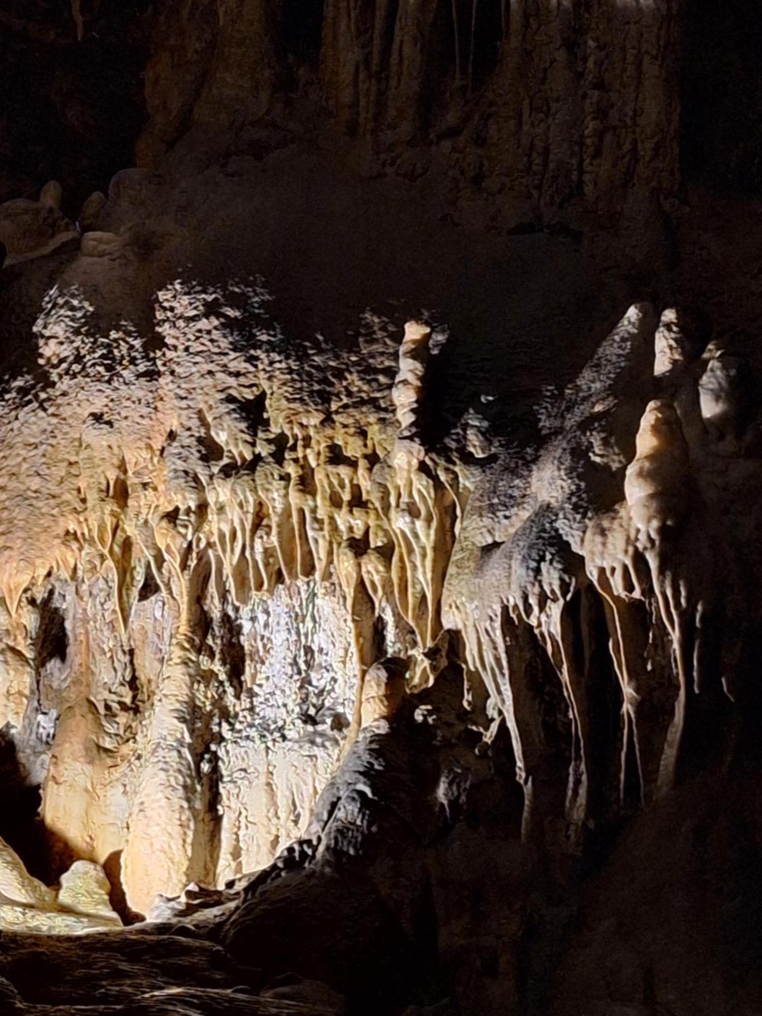 Apartma Nika Planina  المظهر الخارجي الصورة